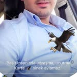 İlhan