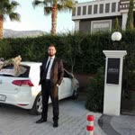Şahin