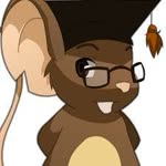 Baran