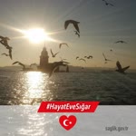 Zeynep
