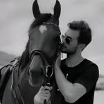 Majd