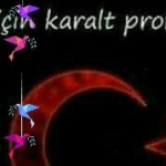 Hikmet