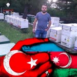 Sevgin