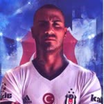 Toprak