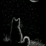 Salih