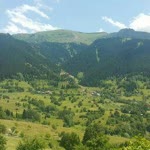 Filografi