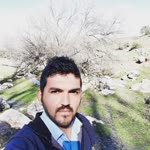 Şener