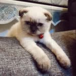 Profil fotoğrafı