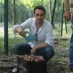 Murat