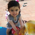 Neşe