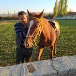 Mevlut