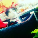 Burak