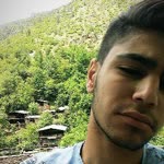 Doğan