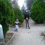 Elif