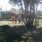 Muş
