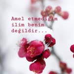Merve