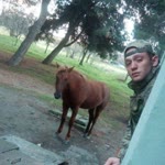 Semih
