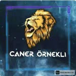 Caner