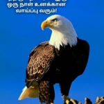 DhineshRaj