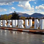 Cesim