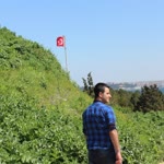 Erol