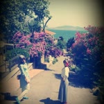 Nesrin