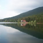 Tolga