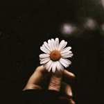 Fatma