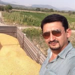 Tolga