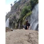 Buse