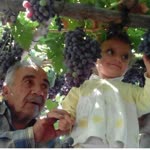 Yilmaz