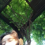 İrem