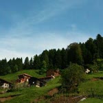 Nur