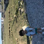 Şeyma