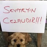 Beyza