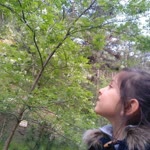Ersan