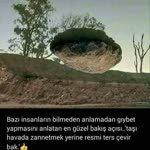 Halit