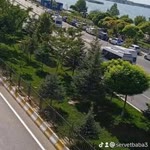 Servet