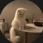 Özge