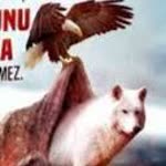 Serkan