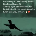 Soner