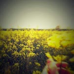 Busra