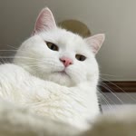 Fatma