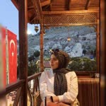 Nur