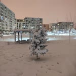 Gülnur