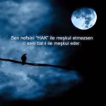 Haydar