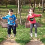Talha