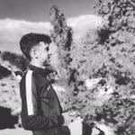 Zeydin