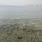Umut