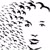 profile-icon
